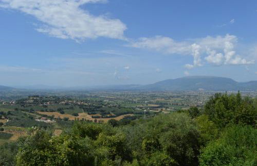 Cardinal Girolamo - Foto 32