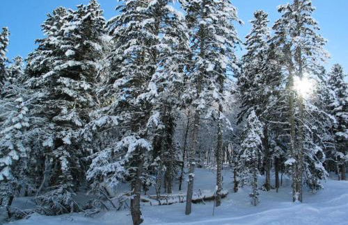 Résidence Pre De Camille - Spacieux appartement avec balcon, terrasse et garage proche du centre de Barèges MAE-8664 - Foto 7