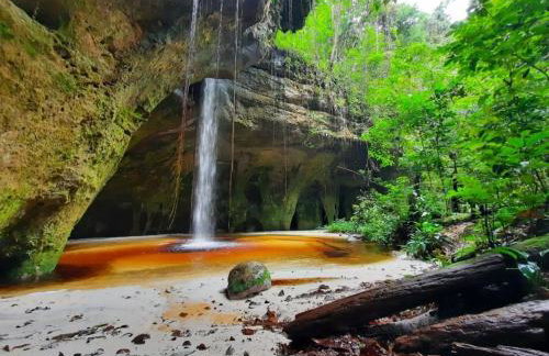 Apartamento em Presidente Figueiredo - Photo 22