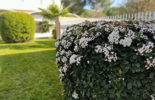 Signora Ruth - Aprilia Residence - Photo 11