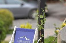 Apartament pod bukowym lasem - Foto 47