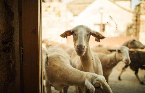 Grande grange atypique proche des Gorges du Tarn - Foto 26