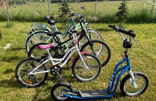 Dom Pod Żurawiami - Foto 33