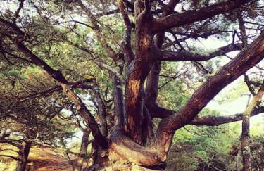 Appartement Cosy Ploumanac'h classé 2 étoiles - Foto 13