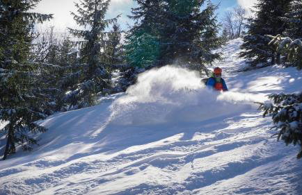 Stodoła Orłów - Domek z Jacuzzi na wyłączność - Foto 31