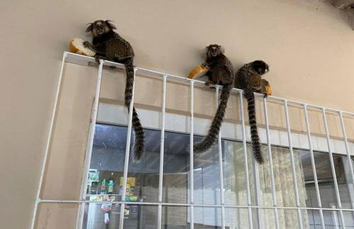 Casa espaçosa na praia do santinho sc - Foto 17