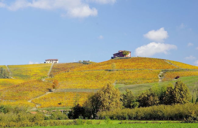 Bricco Rosso - Foto 34