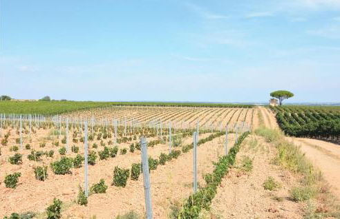 Nice Home In St Gilles - Foto 35