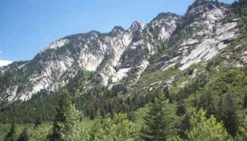 New Distinctive Historical Unit from 5 Star Host - Foto 3