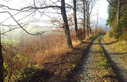 Ferienwohnung Panorama II - Foto 20