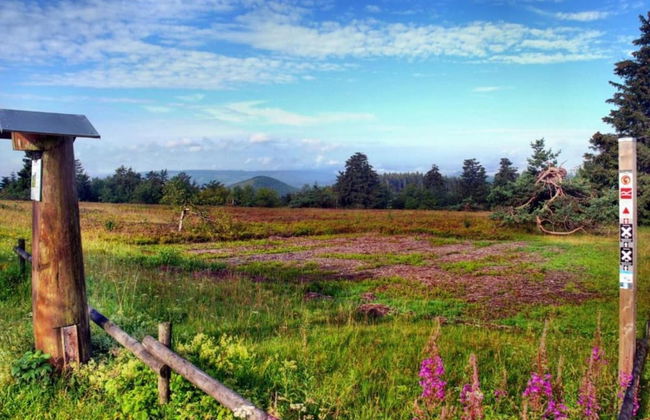 Wohnung in Usseln Nahe Skiliften - Photo 27