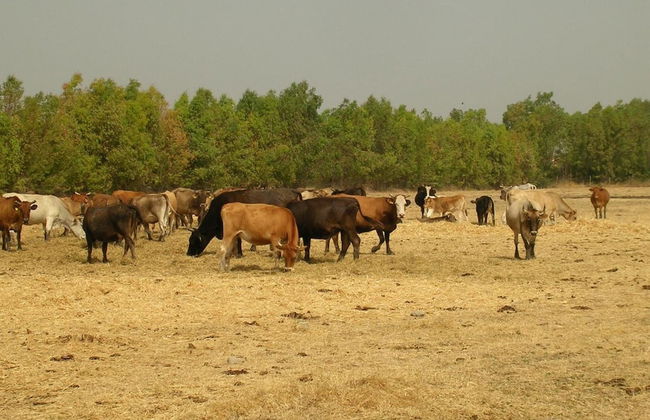 Agriturismo Agrifoglio - Foto 50