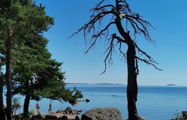 Relaxing Beatiful Studio - Sauna Bath Facility - Photo 28