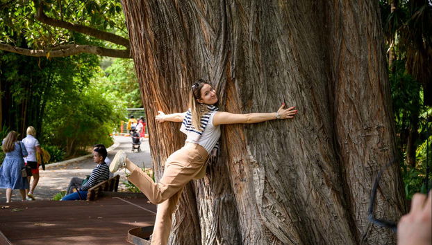 Visita guiada por Melbourne - Foto 5