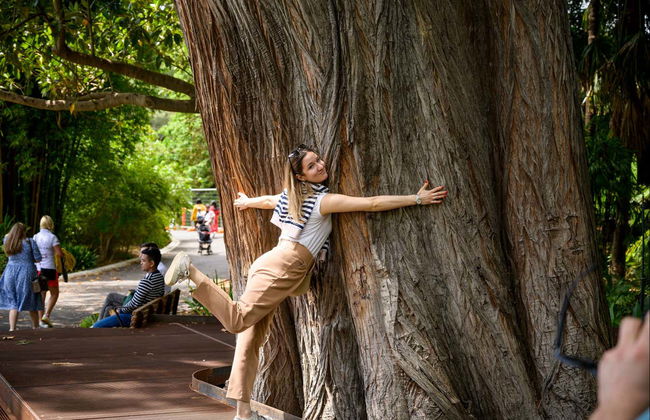 Melbourne Guided Tour - Photo 5