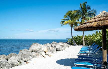 335 Mariners Club - Foto 45