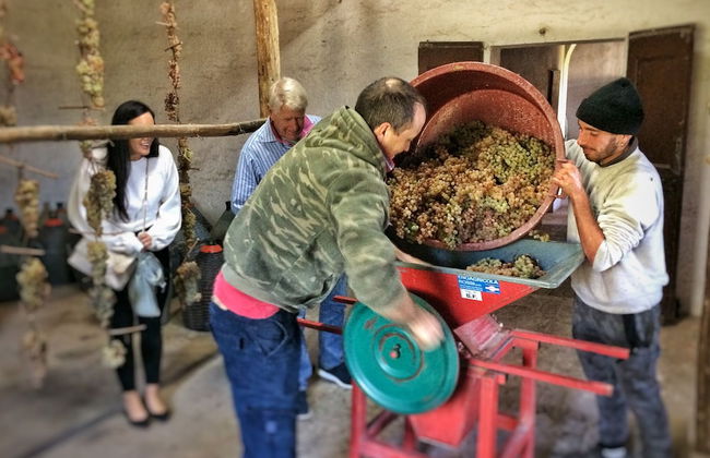 Fattoria Santa Vittoria Apartment Gazza - Foto 12