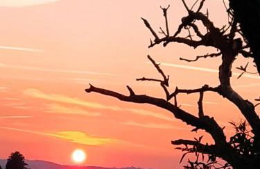 HAPPY PLACE Pusteblume - Foto 23