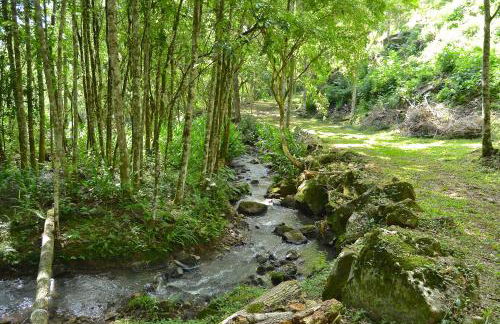 Villa Italia Hospedagem - Photo 47