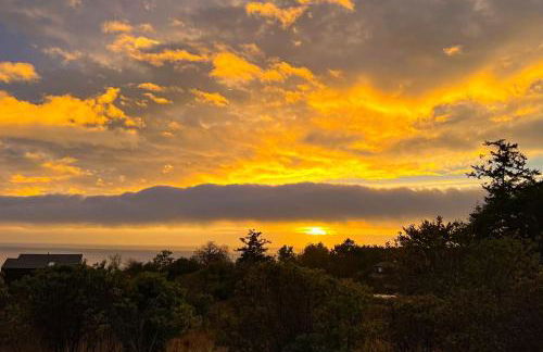 Wild Meadow - Foto 38