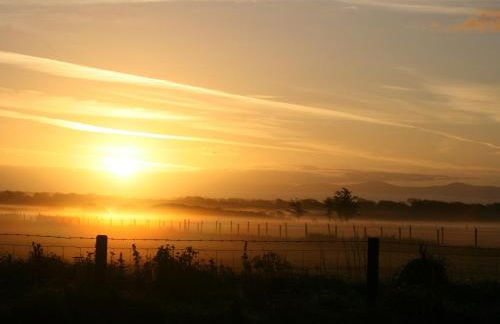 Lapwing - Uk6706 - Foto 20