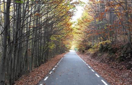 Casa Rural con encanto "Los Postigos" - Foto 98