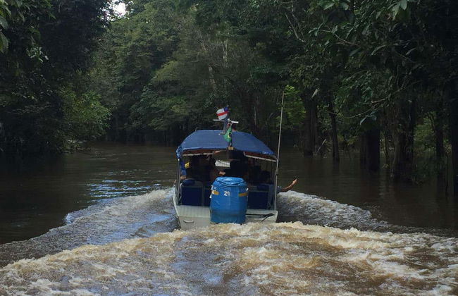 Tour di Manaus - Foto 5
