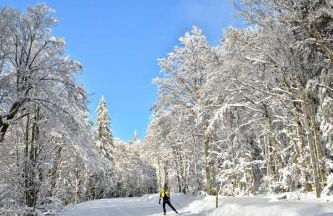 Gîte chez "Mamie Schlop" - Foto 19