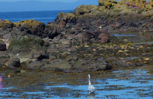 3 Knocknaha Cottage - Foto 28