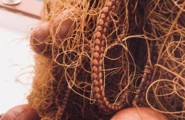 Seaview Antonija - Foto 29