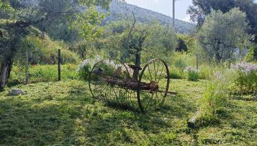 Casaletto in Sabina - Foto 4, Garden