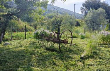 Casaletto in Sabina - Foto 4