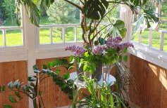 Żuławska Chata - Foto 31