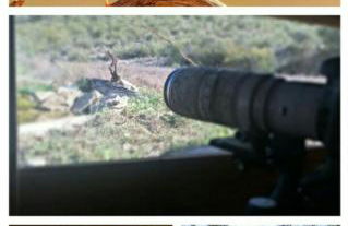 Casas y Cuevas El Solins - Foto 63