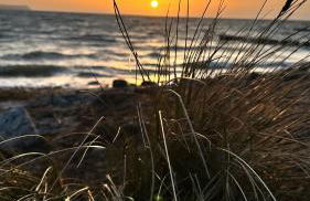 Blockhaus Rügen - Natur, Strand und Mee(h)r - Foto 6