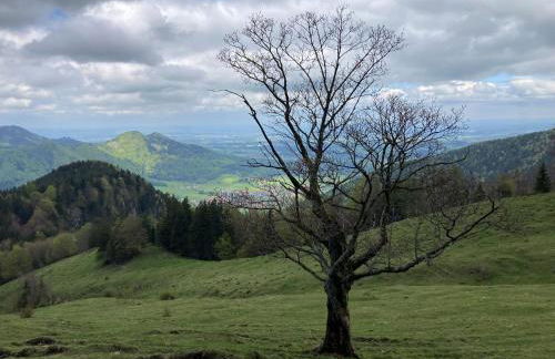 ciao-aschau Haus zur Burg Ap112 Burgblick - Foto 16