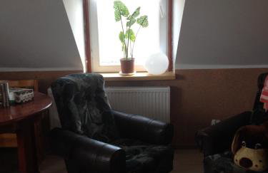 Agroturystyka 'Pod dębem' - Foto 12