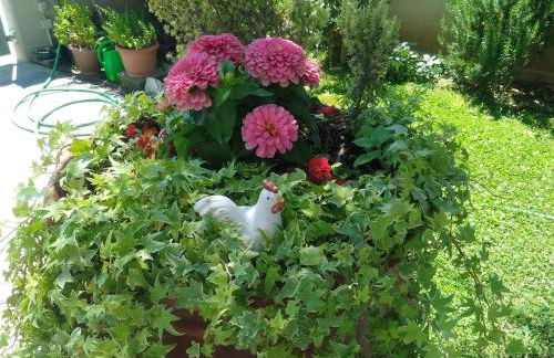 Appartamento Berlicche - Foto 17