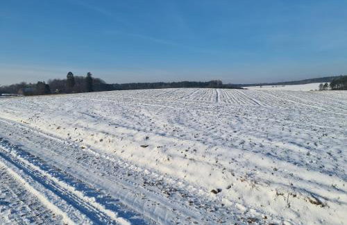 Domek Konrad - balia ogrodowa dodatkowo płatna - Foto 62