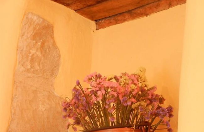 Villa Pardi - Foto 17