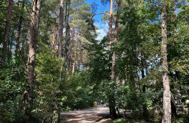 Domek na Morenowym Wzgórzu, nad jeziorem - Foto 47