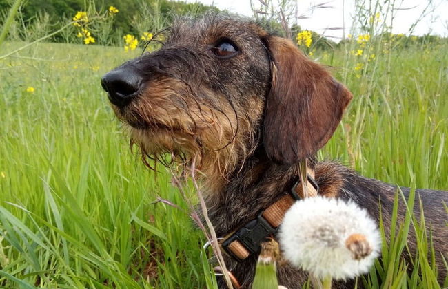 Holiday Apartment Lautertalblick - Photo 13