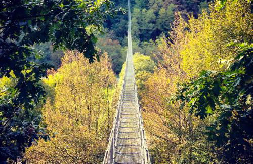 Il Borrino - Foto 14