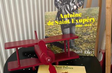 LES JARDINS DE MA-MANS Maison cosy centre Le Mans PARKING privé gratuit - Photo 30