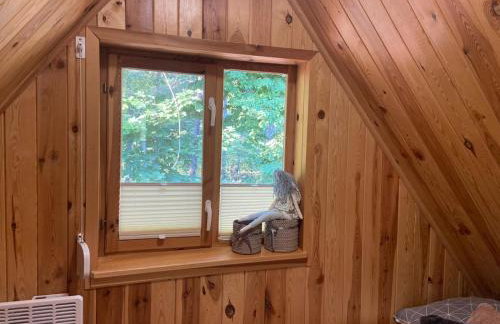 Uroczy drewniany domek w Charzykowach - Foto 15