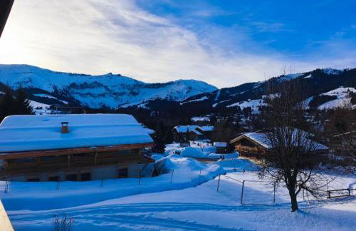 Stay at the heart of the slopes in Megève! - Foto 15