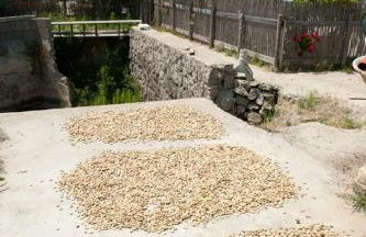 Residence Le Vigne - Foto 42