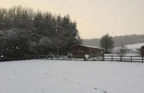 Long Mountain Centre Log Cabins - Foto 38