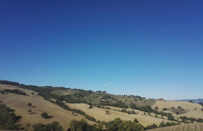 Agriturismo il Palagetto - Foto 47