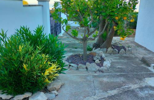 Casa Montgó - Foto 27